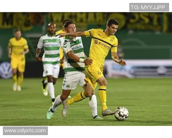 2018年菲尔特与波鸿激战回顾：精彩瞬间与赛季影响分析