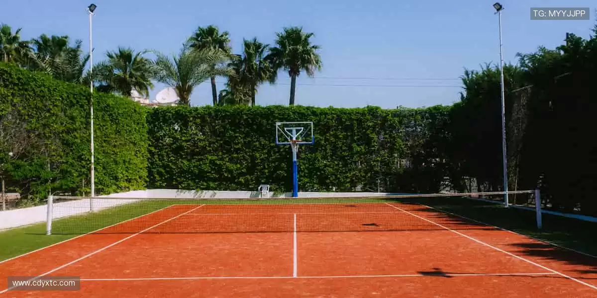 汗水与荣耀同在，见证冠军诞生的瞬间！⚽